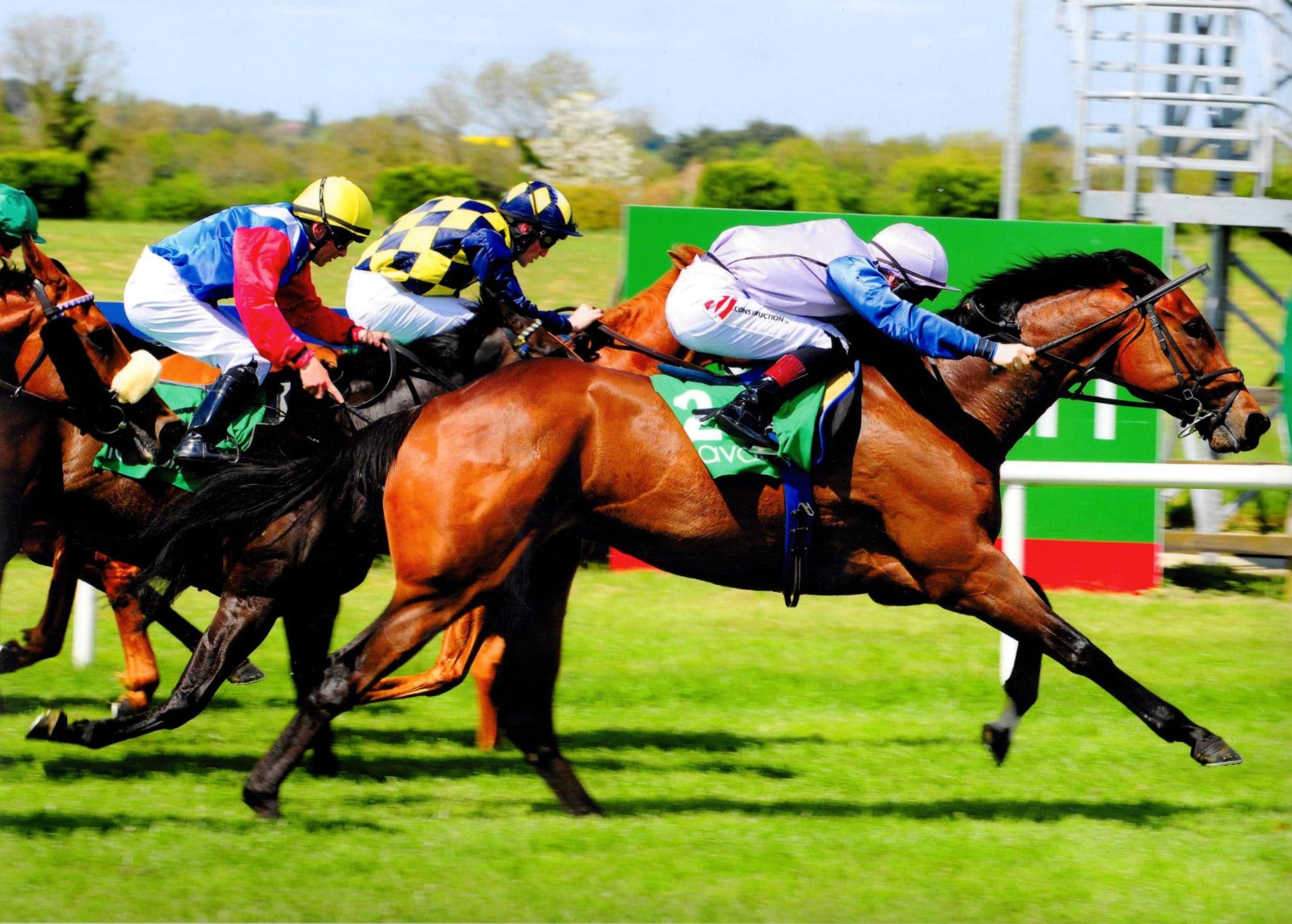 ARDHOOMEY makes it two from two for 2016 at Navan 15th May 2016